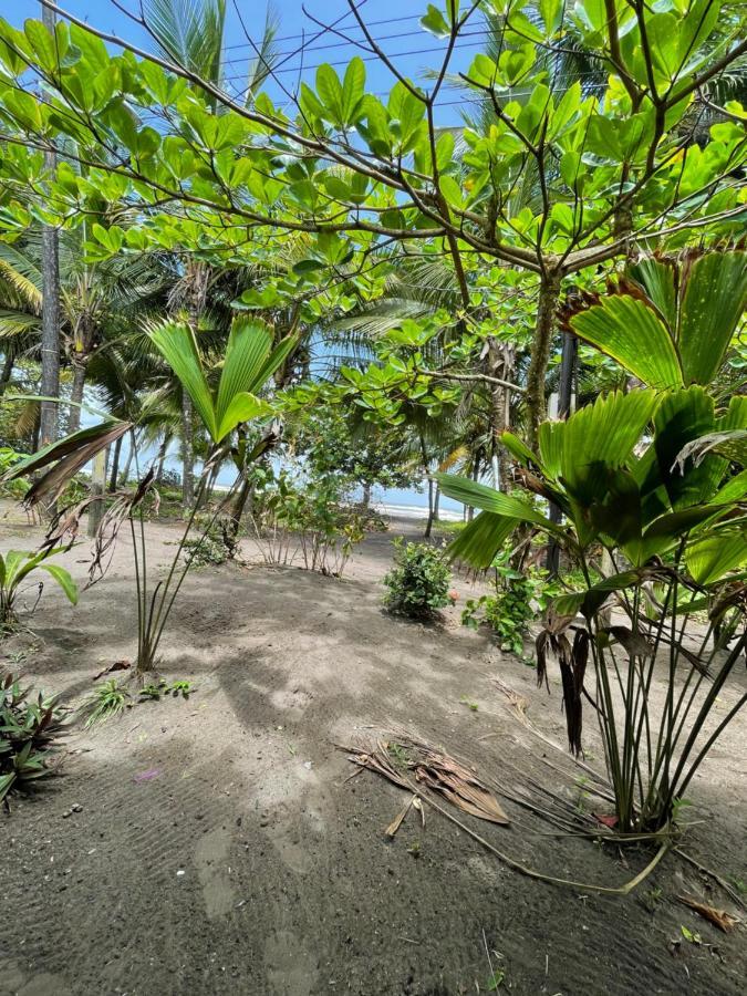 Hotel Casa Turtle Bogue Tortuguero Exteriér fotografie