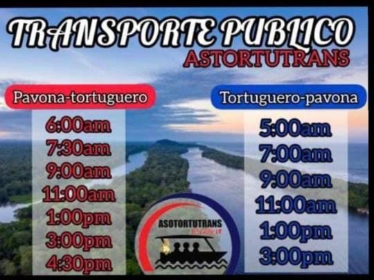 Hotel Casa Turtle Bogue Tortuguero Exteriér fotografie