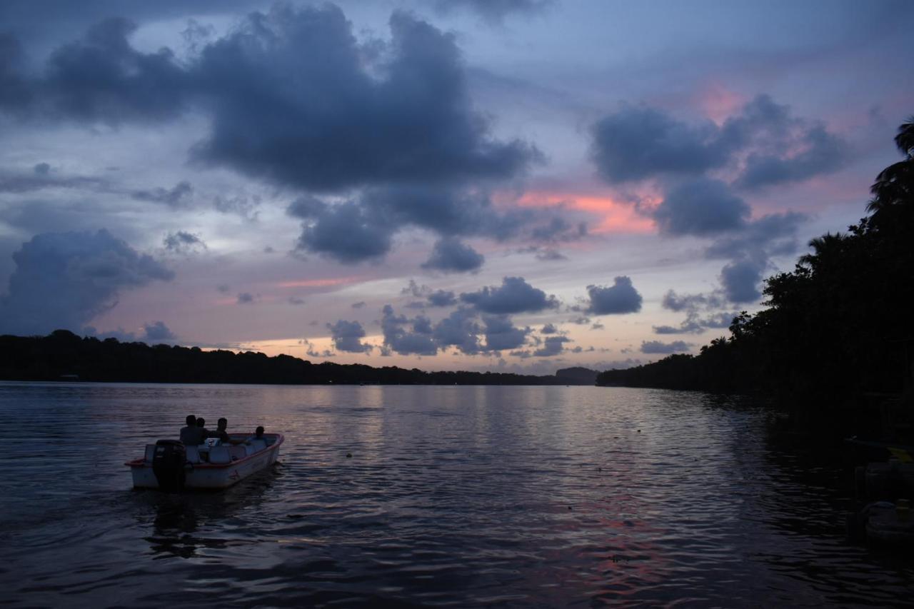 Hotel Casa Turtle Bogue Tortuguero Exteriér fotografie