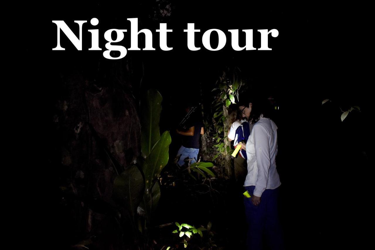 Hotel Casa Turtle Bogue Tortuguero Exteriér fotografie